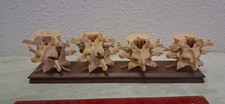 Anatomisches modell - anatomisches,