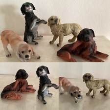 Hund Hunde set 4 nur 7,99
