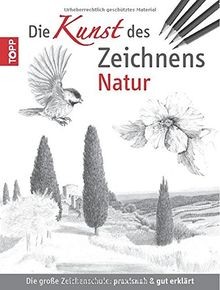 Die kunst des zeichnens - die,