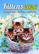 Kalender Kittens 2026 - 24 x