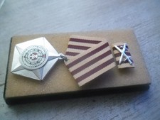 Nva kampforden silber - in,