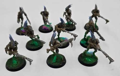 Kroot carnivore squad - carnivore,