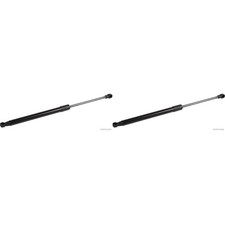 2X HERTH+BUSS GASFEDER