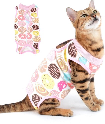 Hundebody hund katze - hundebody,