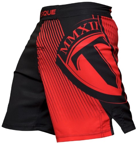 Fight shorts fulcrum red - shorts, von