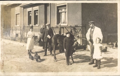 Foto weferlingen sachsen - weferlingen, in