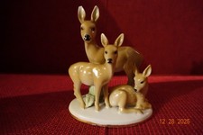 Rehe Gruppe Mutter /2 Rehkitz