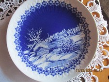 Winterteller echt kobaltblau