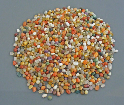 Bunte natur - bunte,