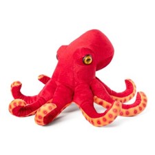 Tintenfisch Oktopus rot