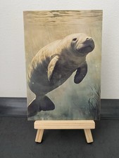 Postkarte Motivkarte, große
