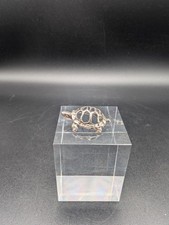 Edle Schildkröte aus 800er