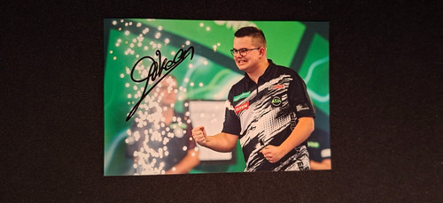Gian van veen darts - veen,