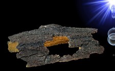 Aquarium Deko groß🍀