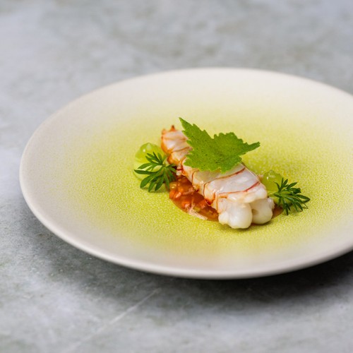 Asa selection koi porzellan - selection,