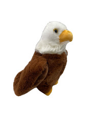 Weißkopfseeadler Adler Vogel