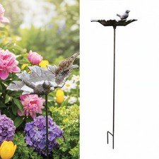 Vogeltränke Vogelbad