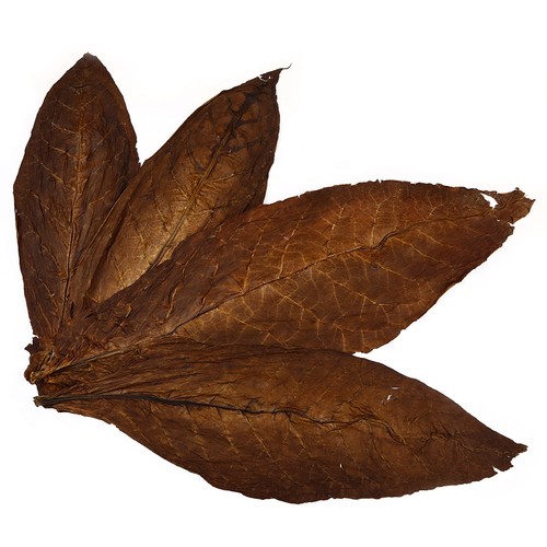 Kentucky fire cured - kentucky,
