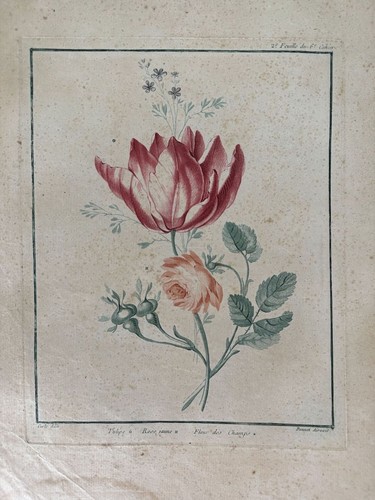 Louis marie bonnet - marie,