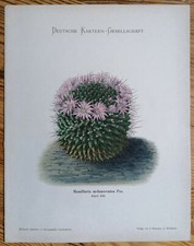 Schumann Originaldruck