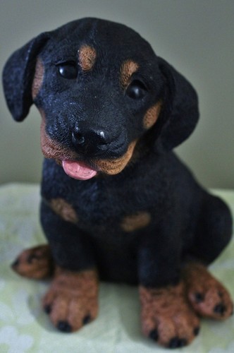 Hundefigur castagna italy - hundefigur,