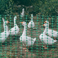 15m 20m 25m Begrenzungszaun