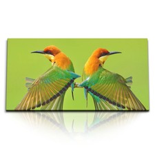 120x80cm Kunstdruck Bilder