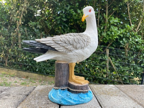 Stehende möwe höhe - möwe, auf