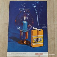 Senoussi 1965 - Vintage