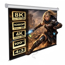 Rolloleinwand Beamerleinwand