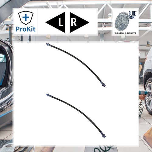 Original blue print - blue,