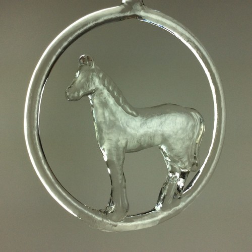 Pferd ring glas glasbild - im,