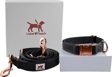Verstellbares Hundehalsband mit Leine im Set (40-66cm) - (28-40 cm) Lederoptik