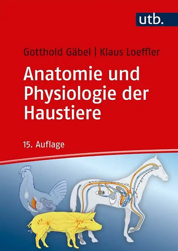 Anatomie und physiologie - anatomie, der