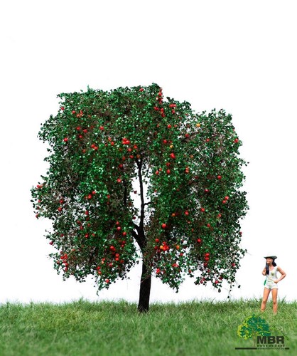 Mbr model 2404 apfelbaum - model,