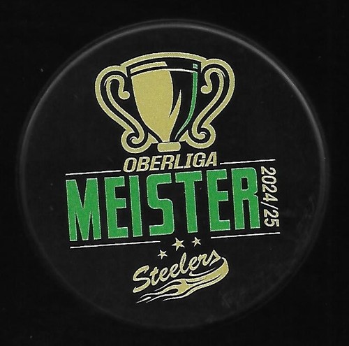 Eishockey puck bietigheim - puck,