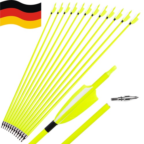 12x carbonpfeile - 12x,
