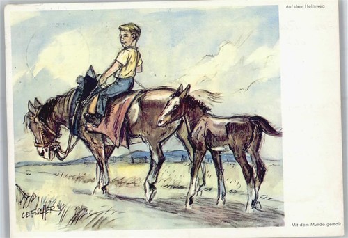 51101346 cefischer auf - cefischer, ,