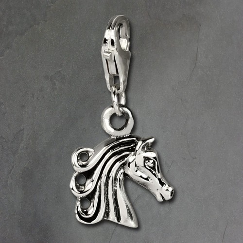 Silberdream 925er charm - 925er,