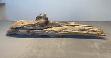 Treibholz Driftwood