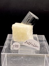 Schörl Auf Feldspat Pakistan Mineralien Mineraliensammlung Edelsteine