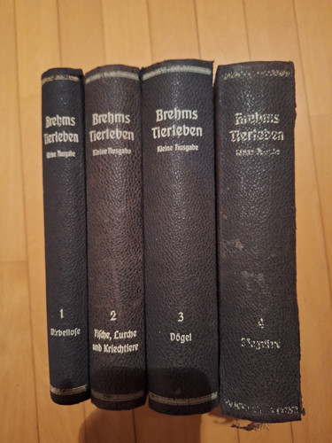 Brehms tierleben kleine - tierleben,