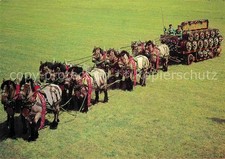 Pferde Zehnerzug Licher