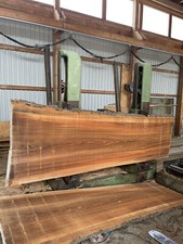 Baumscheibe Tischplatte Ulme