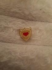  Pin Anstecker Fussball SG