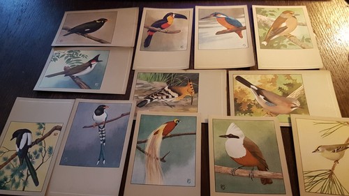 Sluis birdfood - sluis´,