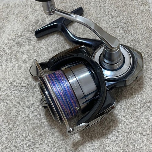 Daiwa certate 6000 - daiwa, sw