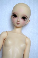 Volks SD BJD - Standardmodell