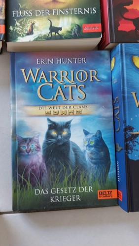 Erin hunter warrior cats - erin,