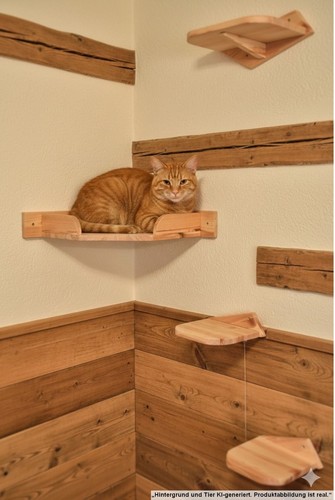 Katzen kletterpark 4teilig - katzen,